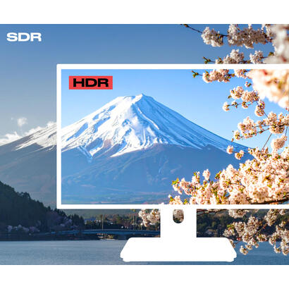 monitor-japannext-jn-ips2152fhdr-c65w-fld-t-215-1920-x-1080-pixeles-full-hd-led-pantalla-tactil-gris