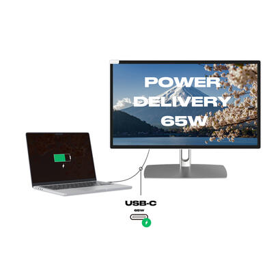 monitor-japannext-jn-ips2152fhdr-c65w-fld-t-215-1920-x-1080-pixeles-full-hd-led-pantalla-tactil-gris