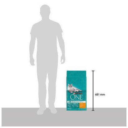 purina-one-adult-cat-chicken-975kg