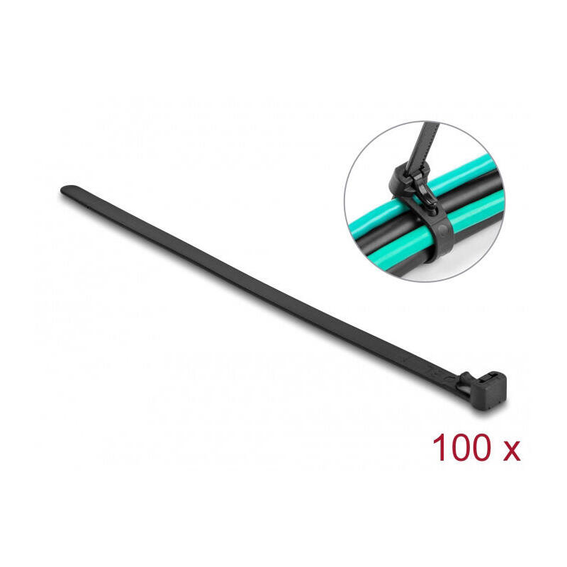 delock-18757-presilla-bridas-adherentes-para-cables-nylon-100-piezas