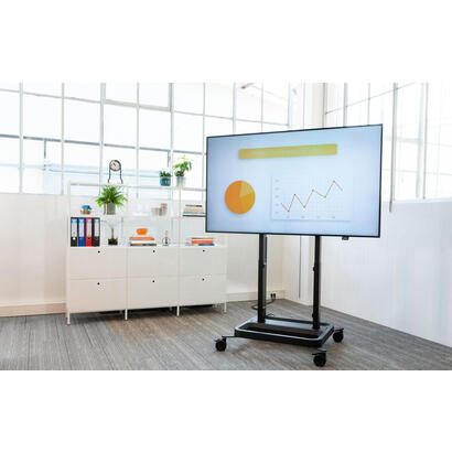 rise-a173-extended-strip-800-vesa