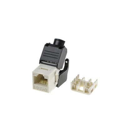 pashak-conector-keystone-utp-cat-6-toolless-180-blanco