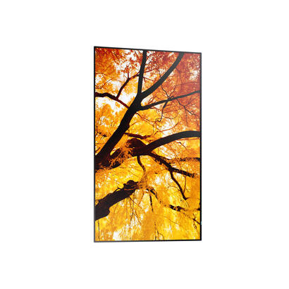 sharp-multisync-m432-pantalla-plana-para-senalizacion-digital-108-cm-425-lcd-550-cd-m-4k-ultra-hd-negro