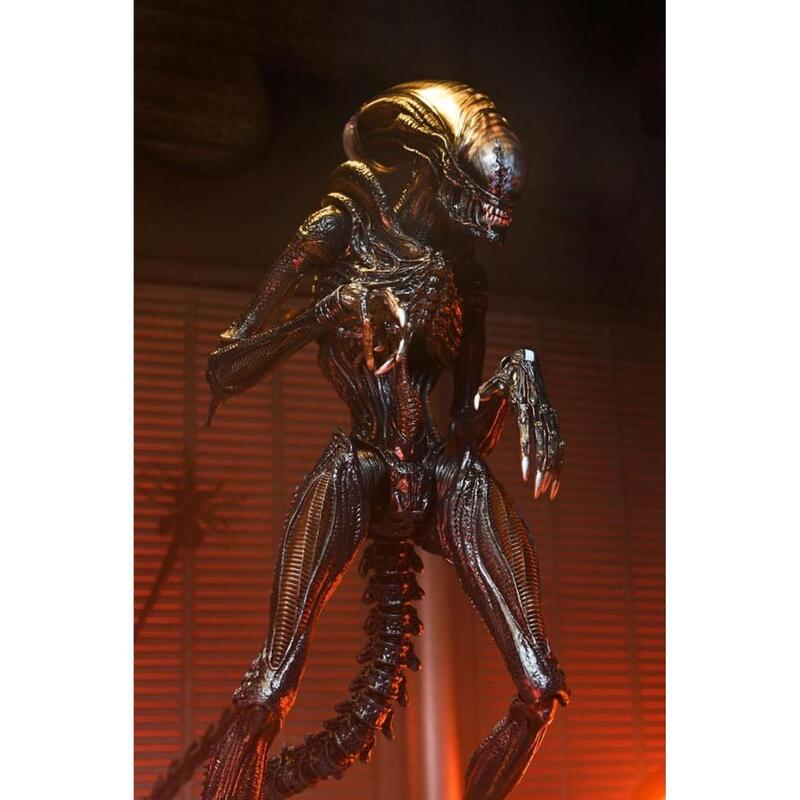 figura-ultimate-scorched-xenomorph-scale-action-fig-23-cm-alien-romulus