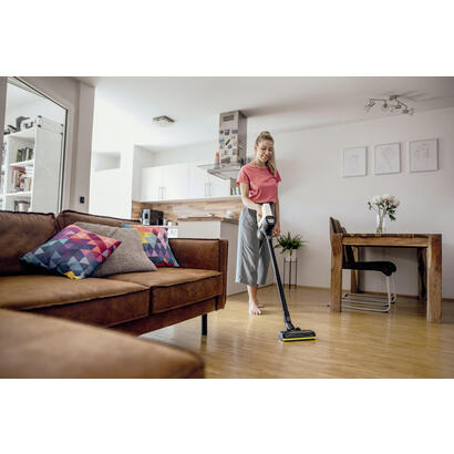aspiradora-karcher-vc-4-cordless-myhome-pet