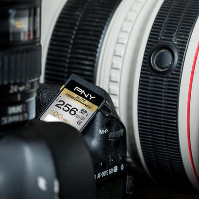 sdxc-256gb-elite-perf-class10-uhs-1-u3-r-100mbs-w-75mbs