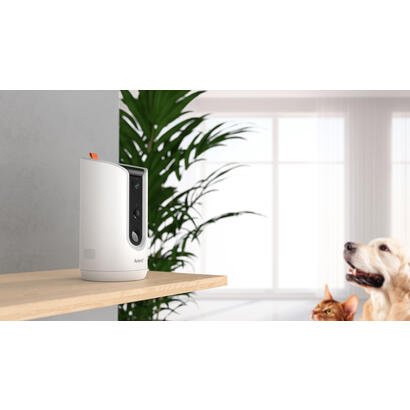 arenti-petcam1t-indoor-wifi-haustierkamera-futterspender