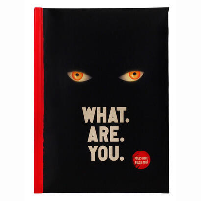 what-are-you-libreta-con-luz-welcome-to-derry