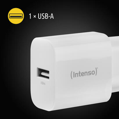 intenso-usb-ladegerat-doppelpack-je-1-x-usb-a-5-watt-blanco