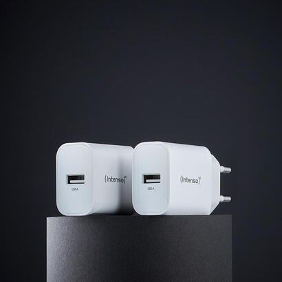 intenso-usb-ladegerat-doppelpack-je-1-x-usb-a-5-watt-blanco