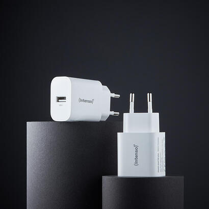 intenso-usb-ladegerat-doppelpack-je-1-x-usb-a-5-watt-blanco