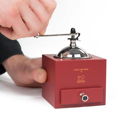 peugeot-le-moulin-d-olivier-roellinger-pfeffermuhle-13cm