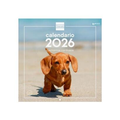 finocam-calendario-de-pared-anual-2026-imagenes-variadas-300x300mm-espacio-para-escribir-tematica-de-cachorros