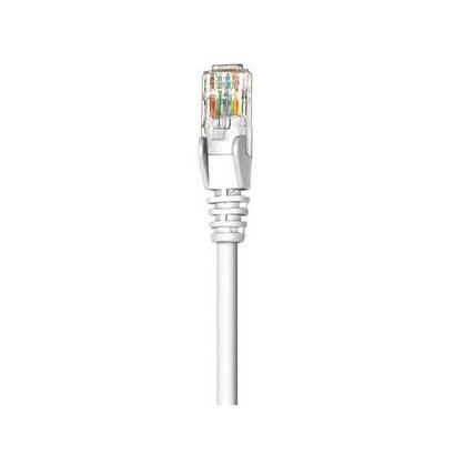 network-cable-cat5e-utp-white-rj-45-male-rj-45