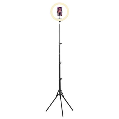 tnb-influence-12-led-ring-light-in-white-and-rgb-light-tripod-for-studio-black
