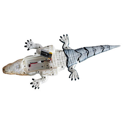 amewi-croco-das-kleine-krokodil-370mm-4-kanal-rtr