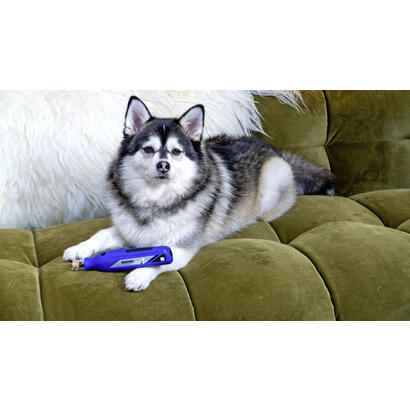 dremel-7350-pet-nail-care-set