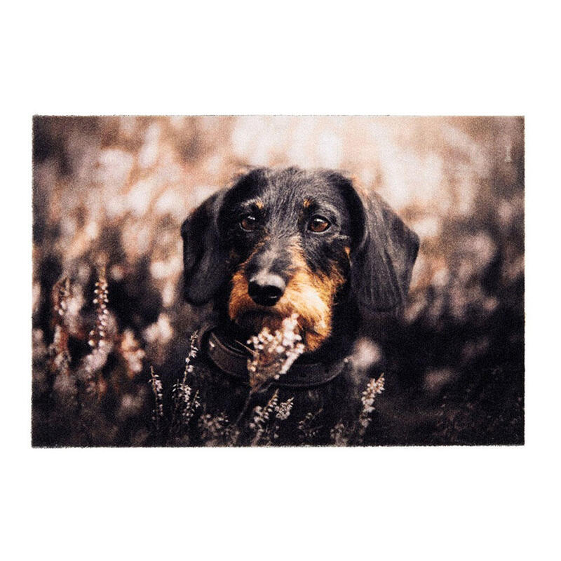 felpudo-de-interior-deco-print-100-poliamida-40-x-60cm-diseno-perro