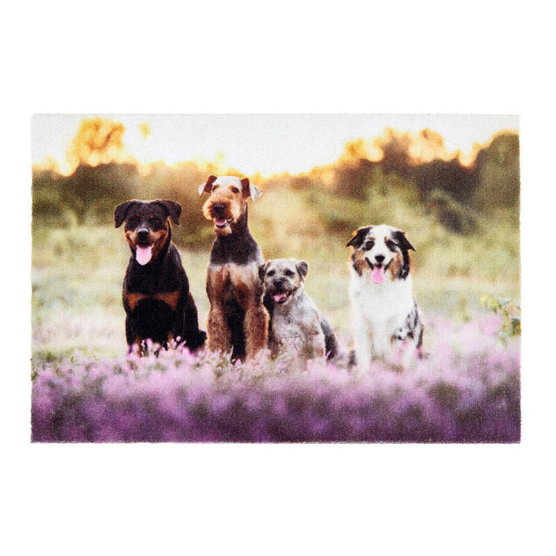 felpudo-de-interior-deco-print-100-poliamida-40-x-60cm-diseno-grupo-perro