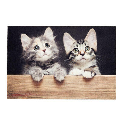 felpudo-de-interior-deco-print-100-poliamida-40-x-60cm-diseno-gatos