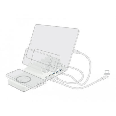 delock-cableloses-cargador-para-41450