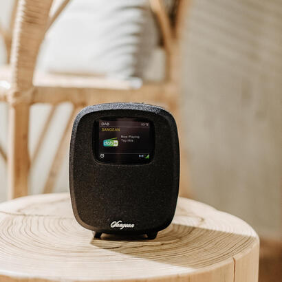 radio-despertador-sangean-dcr-83-black