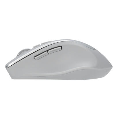 asus-wt425-mouse-sil