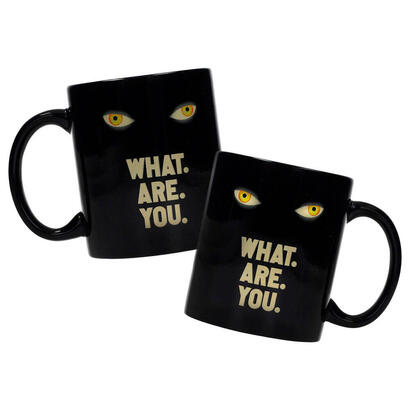 taza-what-are-you-welcome-to-derry-it