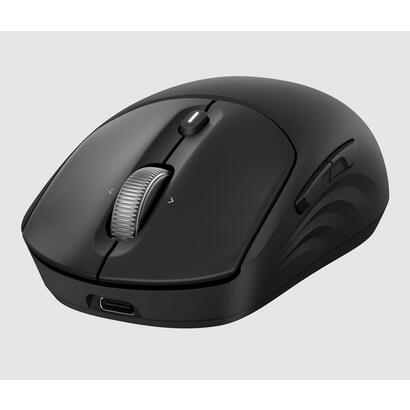 hp-705-rechargeable-wireless-mouse-emea-raton