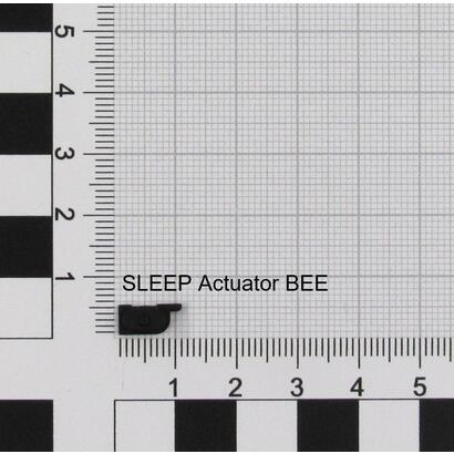 actsleep-k1-bee