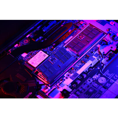 goodram-gr00c5-64l52s16g-memoria