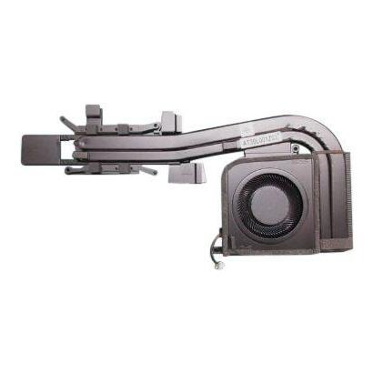 assyhtsnkumawfan5421