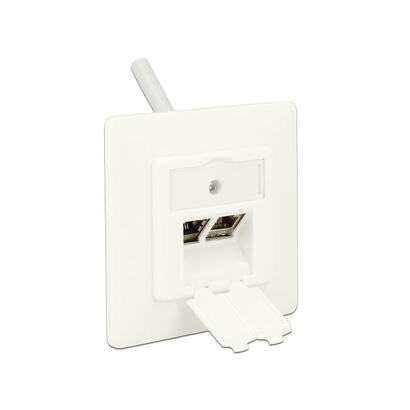 delock-keymone-anschlussdose-2-port-kompakt