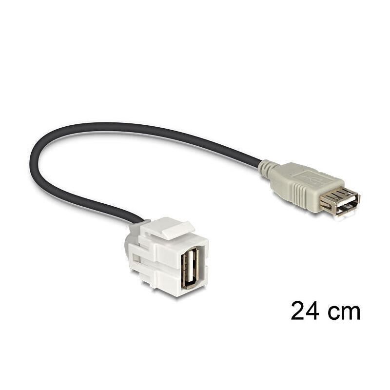 delock-keystone-modul-usb-20-a-buchse-250-usb-20-a-buchse-mit-cable-weiss