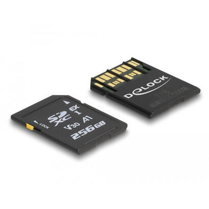 card-delock-express-speicherkarte-256-gb