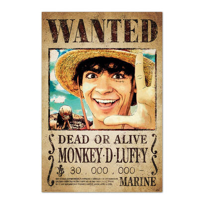 poster-se-busca-monkey-d-luffy-one-piece