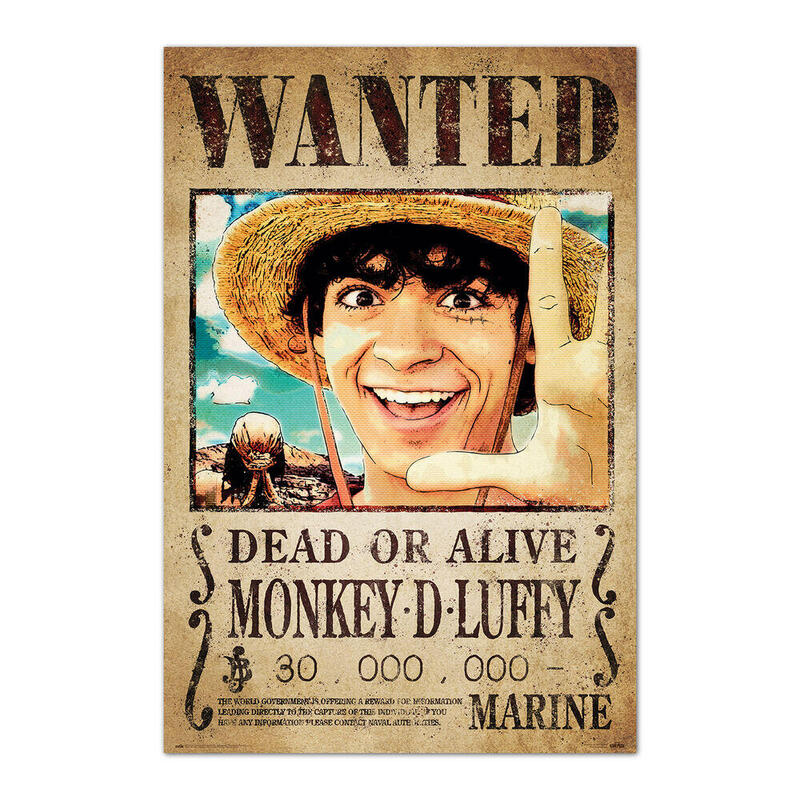 poster-se-busca-monkey-d-luffy-one-piece