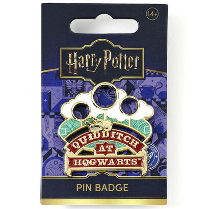 pin-quidditch-at-hogwarts-harry-potter