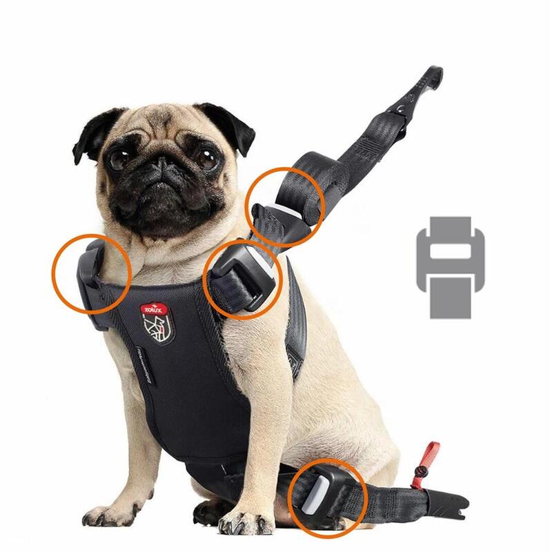 zolux-szelki-para-perro-travel-safe-s-czerwone