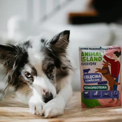 animal-island-monoproteinowa-cielecina-karma-para-perro-9x300g