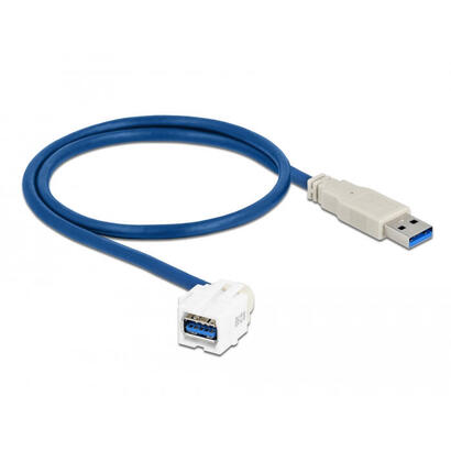delock-keystone-modul-usb-5-gbps-typ-a-buchse-250-zu-typ-a-stecker-mit-05-m-cable-weiss