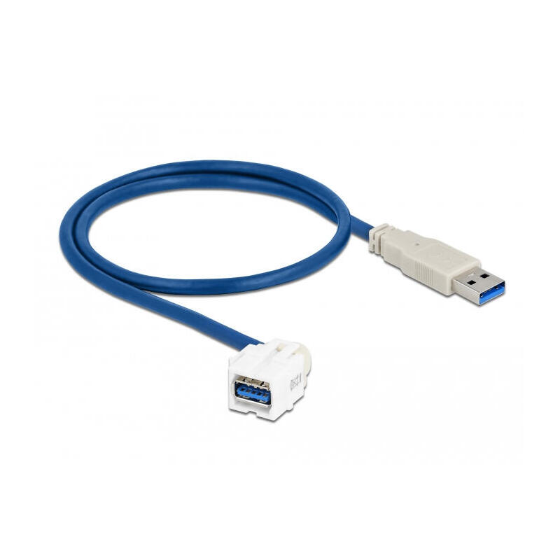 delock-keystone-modul-usb-5-gbps-typ-a-buchse-250-zu-typ-a-stecker-mit-05-m-cable-weiss