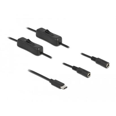 delock-cable-usb-type-c-stecker-zu-2-x-dc-55-x-21-mm-buchse-mit-schalter-1-m