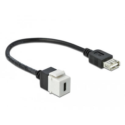 delock-keystone-modul-usb-20-c-buchse-usb-20-a-buchse-mit-cable