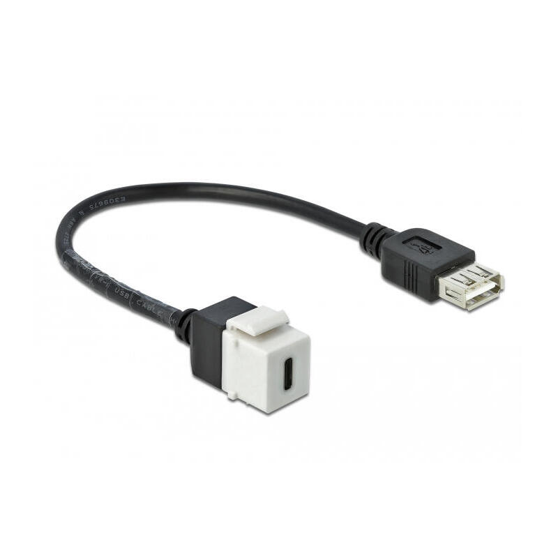 delock-keystone-modul-usb-20-c-buchse-usb-20-a-buchse-mit-cable