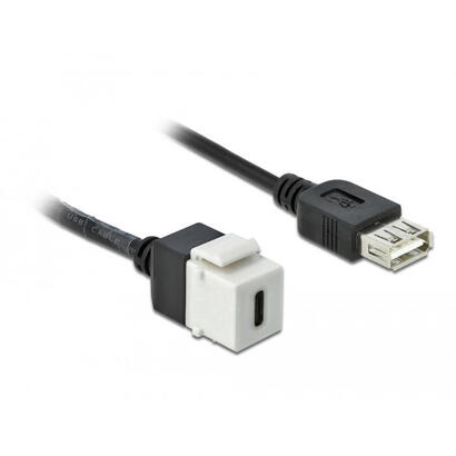 delock-keystone-modul-usb-20-c-buchse-usb-20-a-buchse-mit-cable