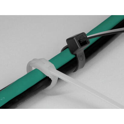 delock-cablebinder-mit-flachem-kopf-l-110-x-b-25-mm-100-stuck