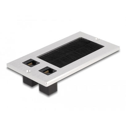 delock-cabledurchfuhrung-mit-burste-und-2-x-rj45-keystone-modul-cat6-aluminium