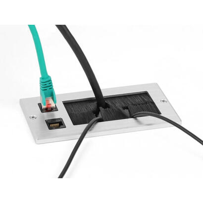 delock-cabledurchfuhrung-mit-burste-und-2-x-rj45-keystone-modul-cat6-aluminium