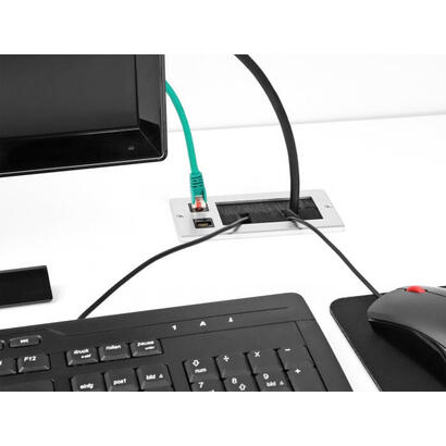 delock-cabledurchfuhrung-mit-burste-und-2-x-rj45-keystone-modul-cat6-aluminium